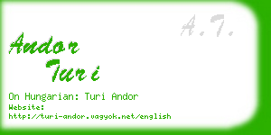 andor turi business card